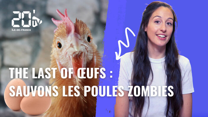 The Last of Oeufs : des poules zombies derrière certains codes