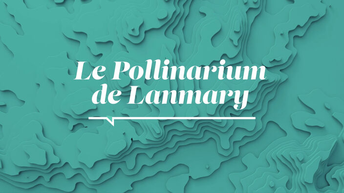 La Santé D'abord : Le Pollinarium de Lanmary