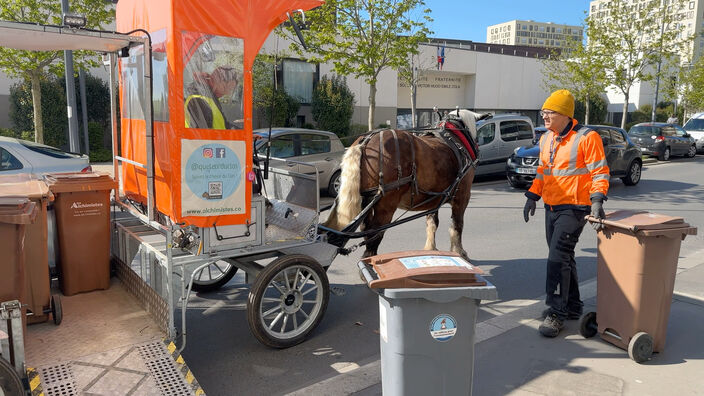 Stains (93) : Un cheval pour collecter les déchets alimentaires du quartier