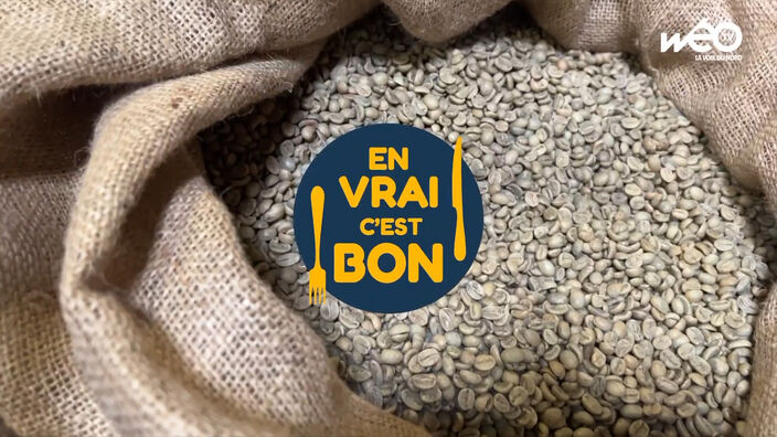 Du grain à la tasse, une émission spéciale sur le café