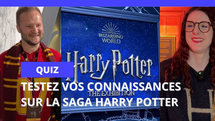 Poudlard, les Horcruxes : testez vos connaissances sur la saga Harry Potter