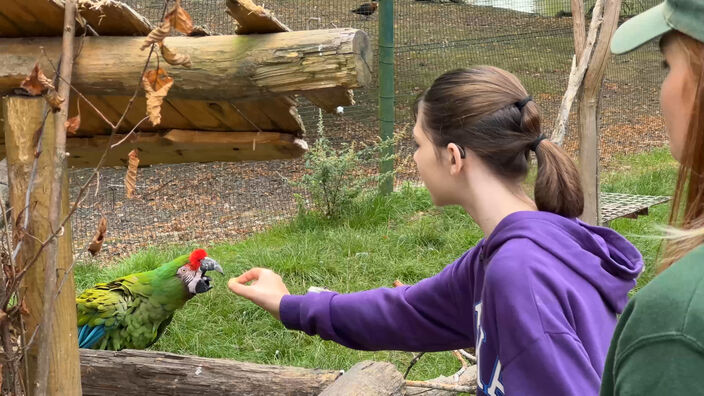 3 heures dans la peau d'un soigneur animalier au Zoo du Bois d'Attilly