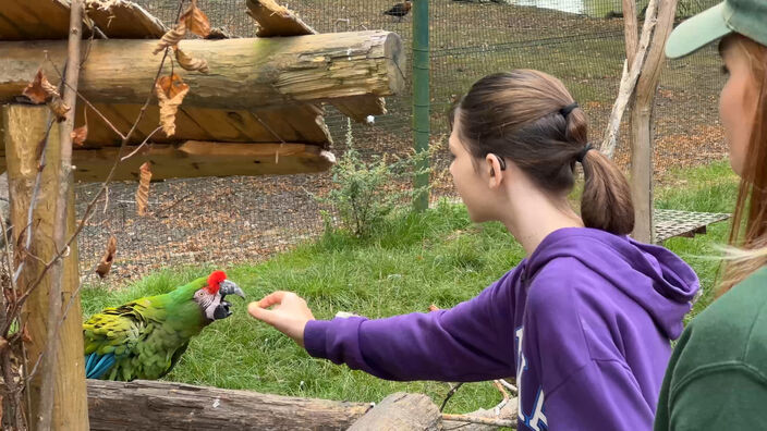 3 heures dans la peau d'un soigneur animalier au Zoo du Bois d'Attilly