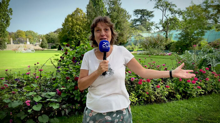 Les franciliens, le sport et la santé...