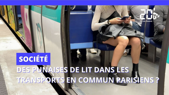 Y a-t-il des punaises de lit dans les transports en commun ?