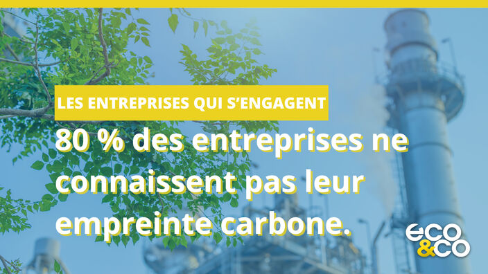 Aider les entreprises à réduire leur empreinte carbone.