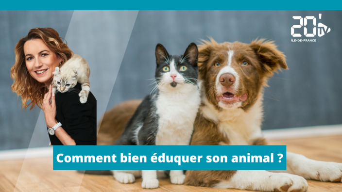 Comment bien éduquer un animal ?