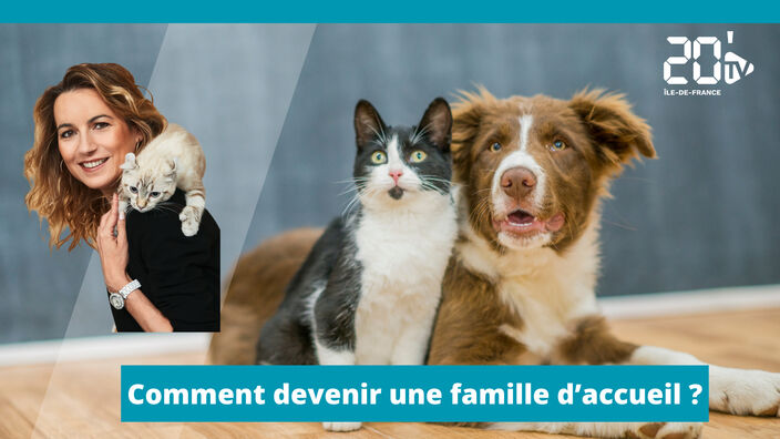 Comment devenir une famille d'accueil ?