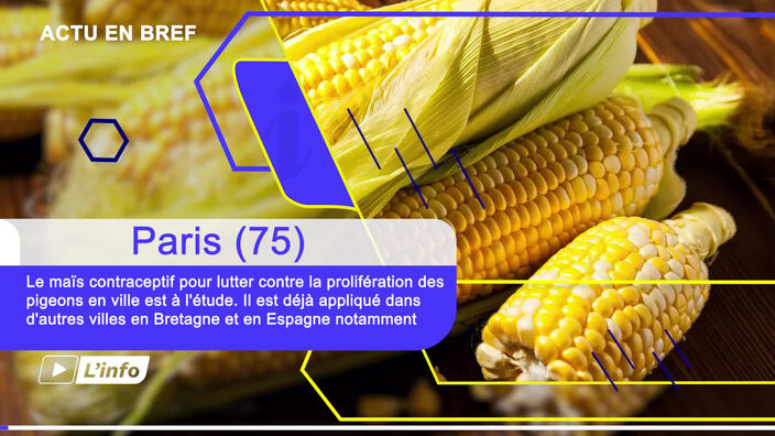 L'actu en bref de ce vendredi 27 octobre 2023