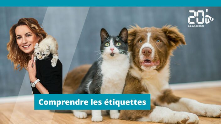 Nourriture pour animaux : Comprendre les étiquettes.