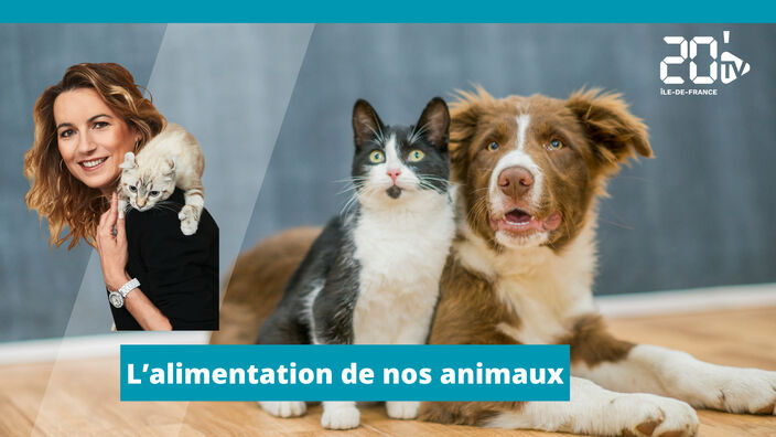 Comment bien nourrir son animal de compagnie ?