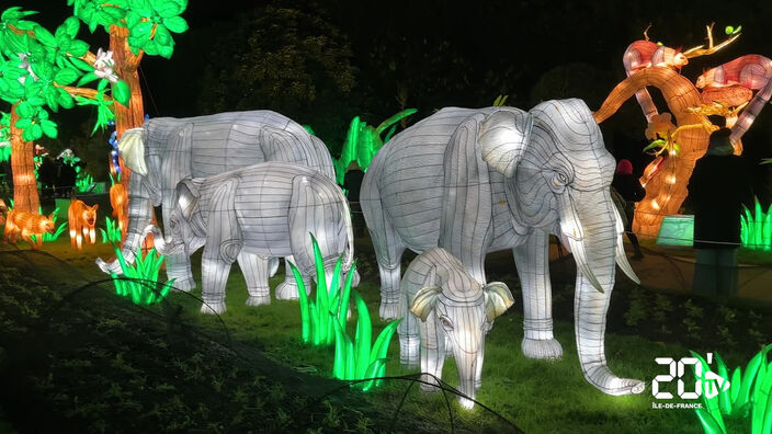 L'exposition «Jungle en voie d'illumination» au Jardin des Plantes