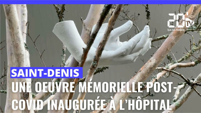 Covid : une œuvre mémorielle à l'hôpital de St-Denis 