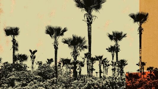 DAVID PATROIS & PIERRE MARCAULT QUINTET "WILD POETRY"
