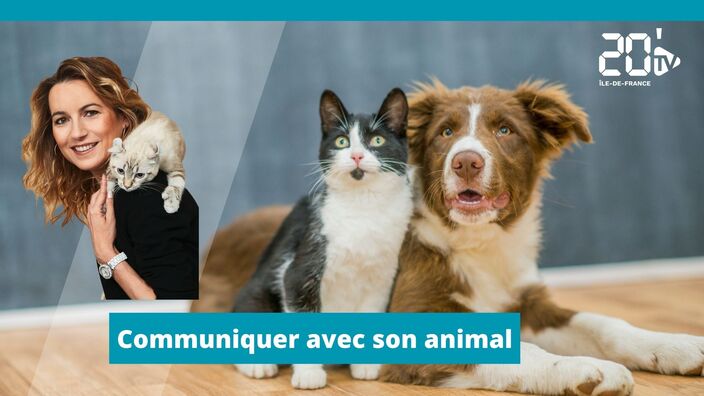 Communiquer avec son animal