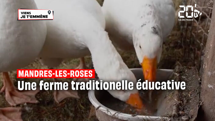 MANDRES-LES-ROSES (94) : La Ferme Traditionnelle Éducative