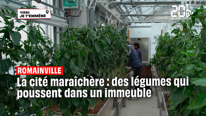 La Cité Maraîchère de Romainville (93)