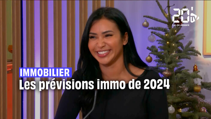 IMMO : 2023, année noire, 2024, la renaissance ?