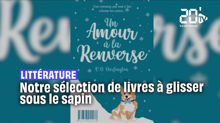 L’idée cadeau : notre sélection lecture pour Noël