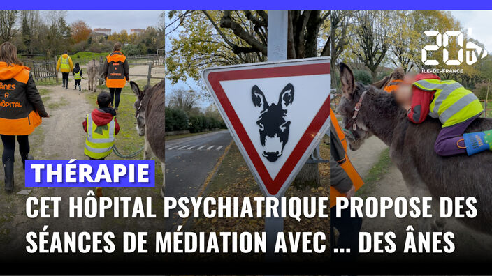 Cet hôpital psychiatrique propose des séances de médiation avec des ânes