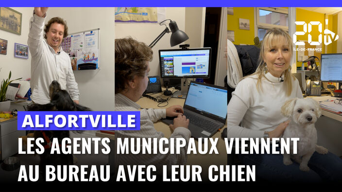 Alfortville : Les agents municipaux viennent au bureau avec leur animal de compagnie