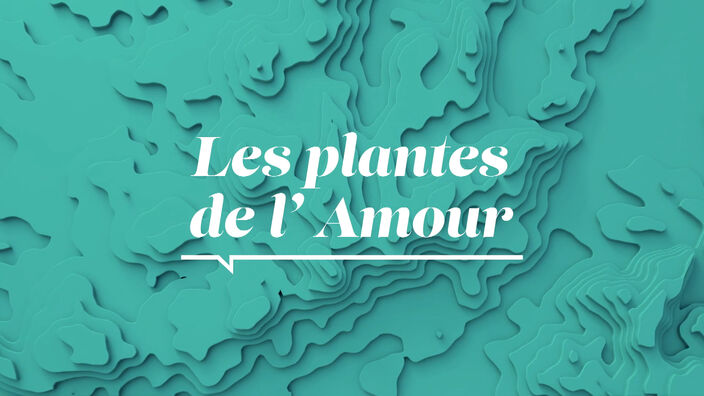 La Santé d'abord : Les plantes de l'amour