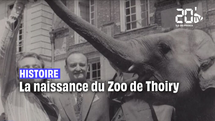 L'Histoire du Zoo de Thoiry
