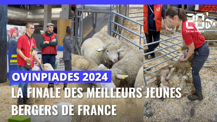 Ovinpiades 2024 : La finale des meilleurs jeunes bergers de France