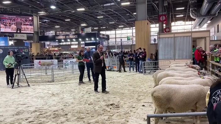 Au salon de l'agriculture, Patrick Vaniet termine à la sixième place du concours de moutons boulonnais