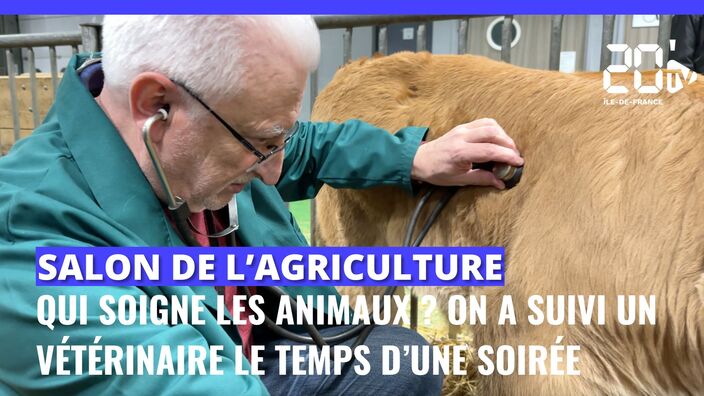 Salon de l'Agriculture : on a suivi un vétérinaire le temps d'une soirée