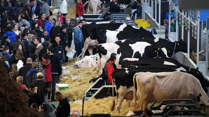 Wéo sur le Salon de l'Agriculture 2024