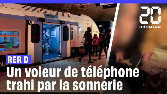 RER D : Un voleur de téléphone démasqué grâce à la solidarité des passagers