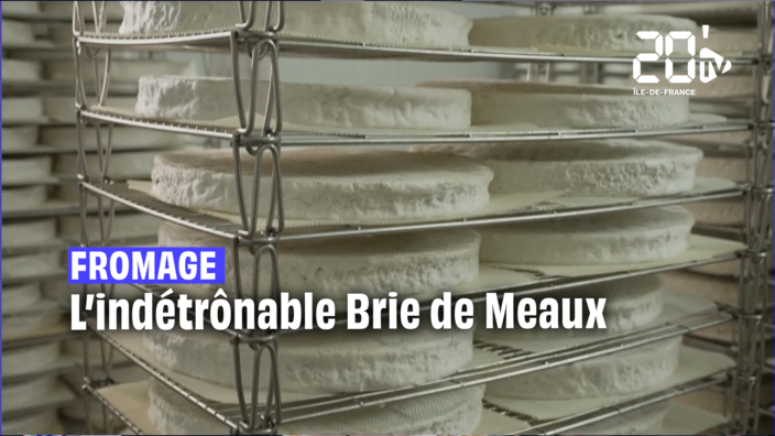Le Brie de Meaux : le roi des fromages ?