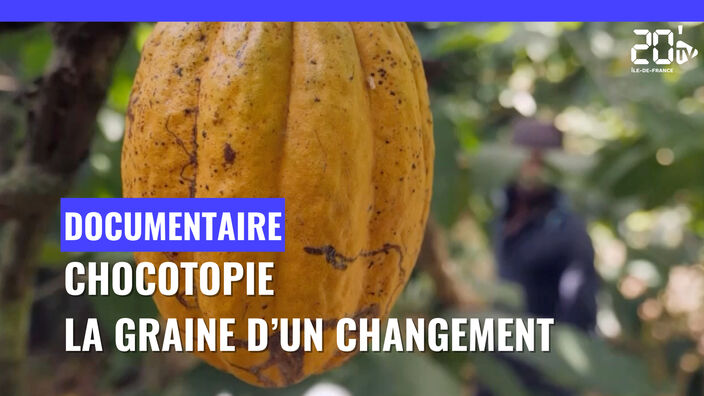 Chocotopie : la graine d'un changement.