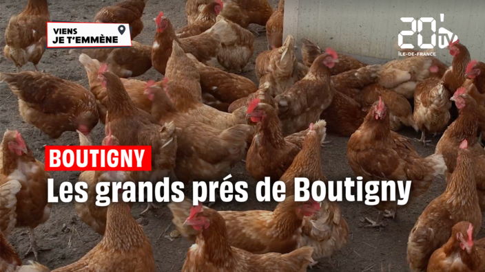 SPECIAL AGRICULTEUR - Les Grands Prés de Boutigny (77)