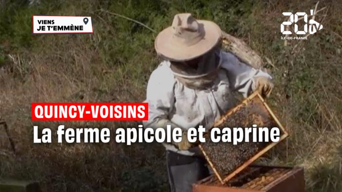 SPECIAL AGRICULTEUR - La Ferme Apicole et Caprine de Quincy-Voisins (77)