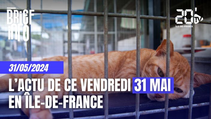 Le Brief de l'info en Île-de-France de ce 31 mai 2024