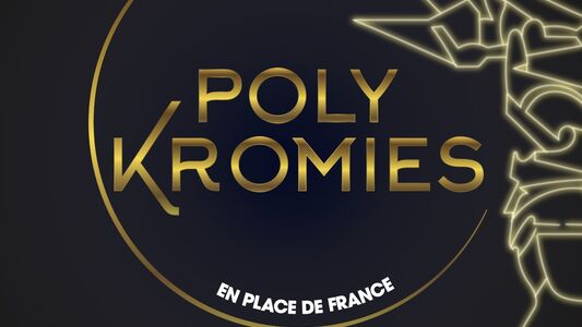 Troisième édition du festival les PolyKromies de Sarcelles