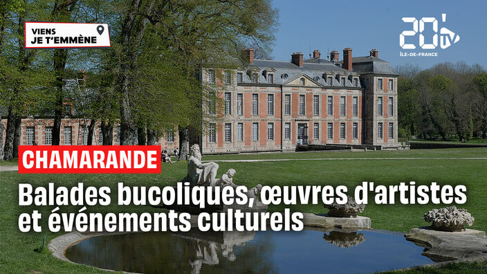 Domaine Départemental de Chamarande, l'Artiste