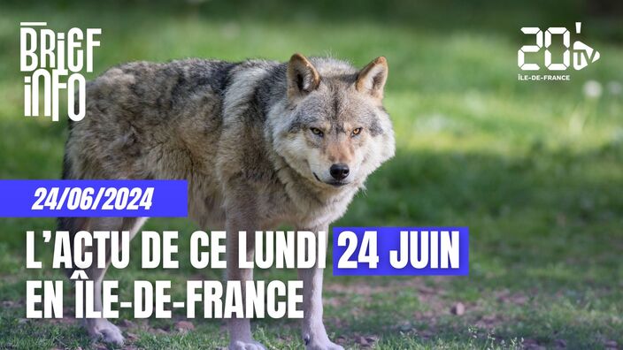 Le Brief de ce lundi 24 juin 2024