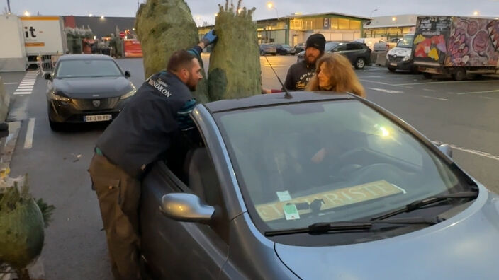 Au coeur de la distribution des sapins de Noël à Rungis