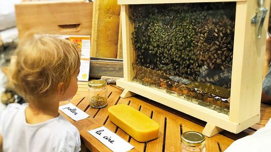 Bercy Village lance le Festival Nature Urbaine 