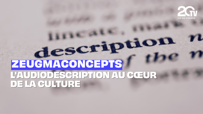 Zeugmaconcepts : l'audiodescription au coeur de la culture
