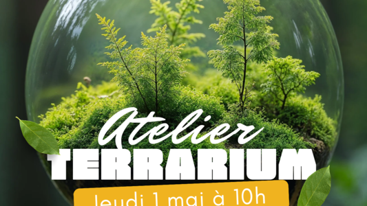 ATELIER TERRARIUM
