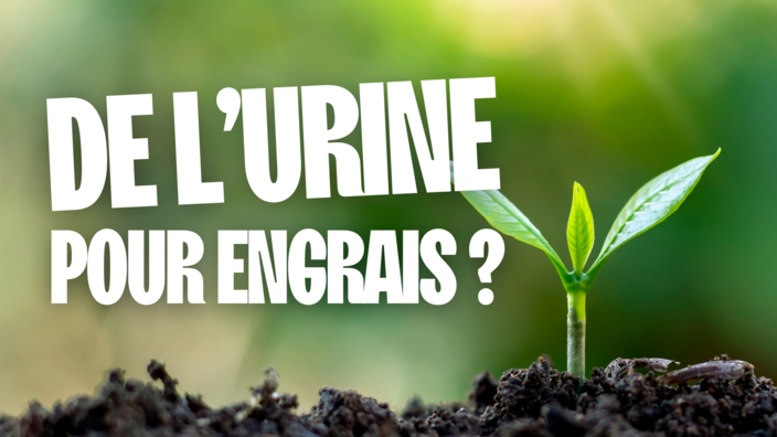Planète C : de l'urine comme engrais
