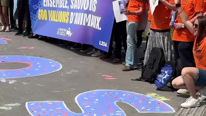 Animaux : Un SOS à Paris