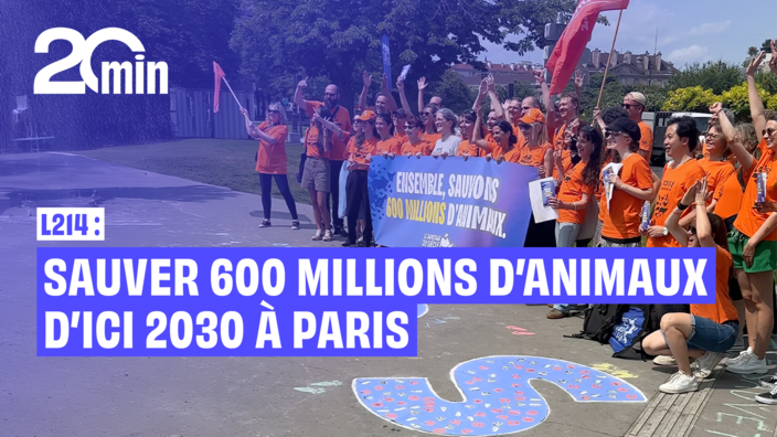 L214 : Sauver 600 millions d'animaux en France d'ici 2030