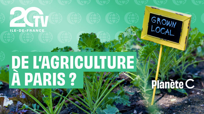 De l'agriculture à Paris, c'est possible ? - version clean