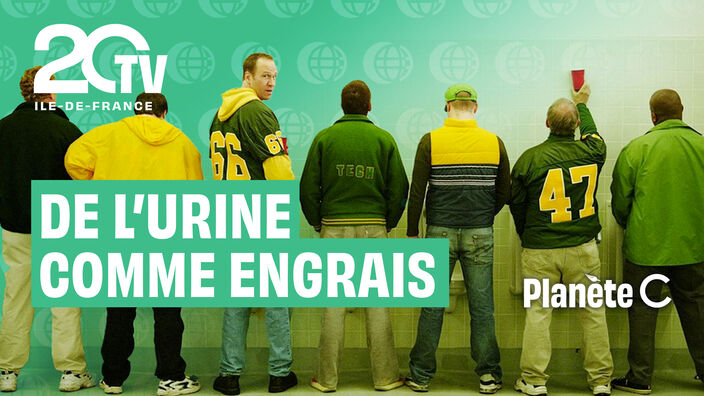 De l'urine comme engrais ?