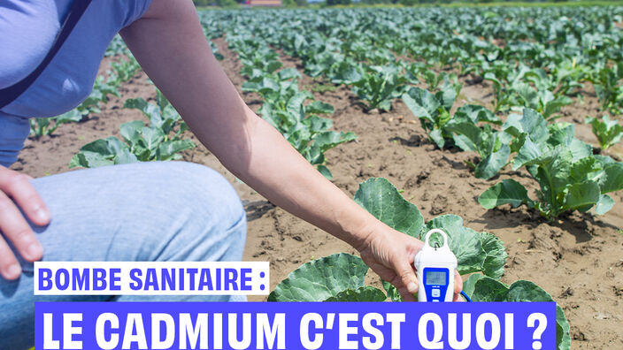 Bombe sanitaire : Le cadmium c'est quoi ? 